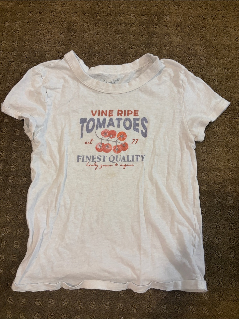 American Eagle Outfitters White Tee with Gray Interior Print